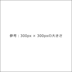 参考：300px x 300pxの大きさ